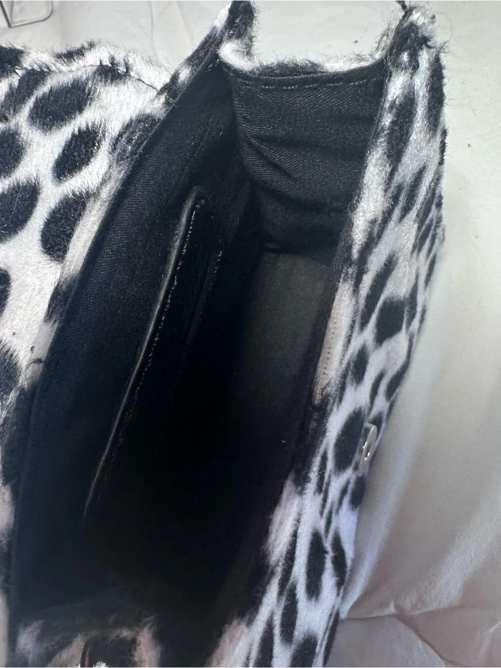 Sugar Thrillz playful dalmatian